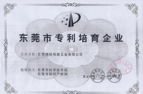 专利培育企业